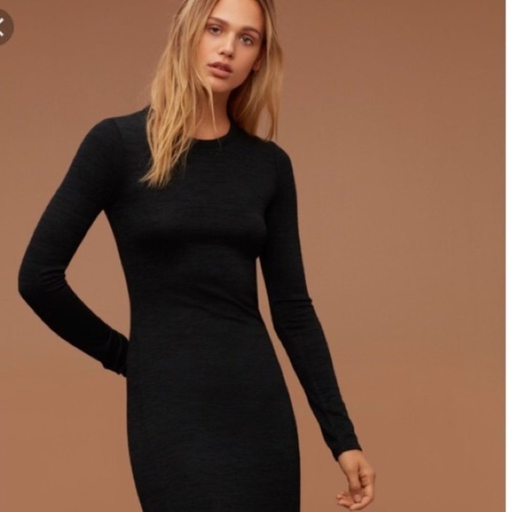 ARITZIA Bodycon Long Sleeve Midi Dress